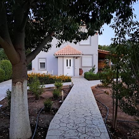 Studio Katafigi Anavyssos Extérieur photo
