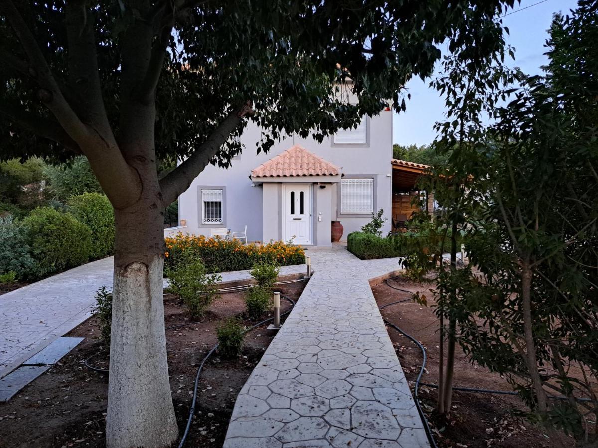 Studio Katafigi Anavyssos Extérieur photo